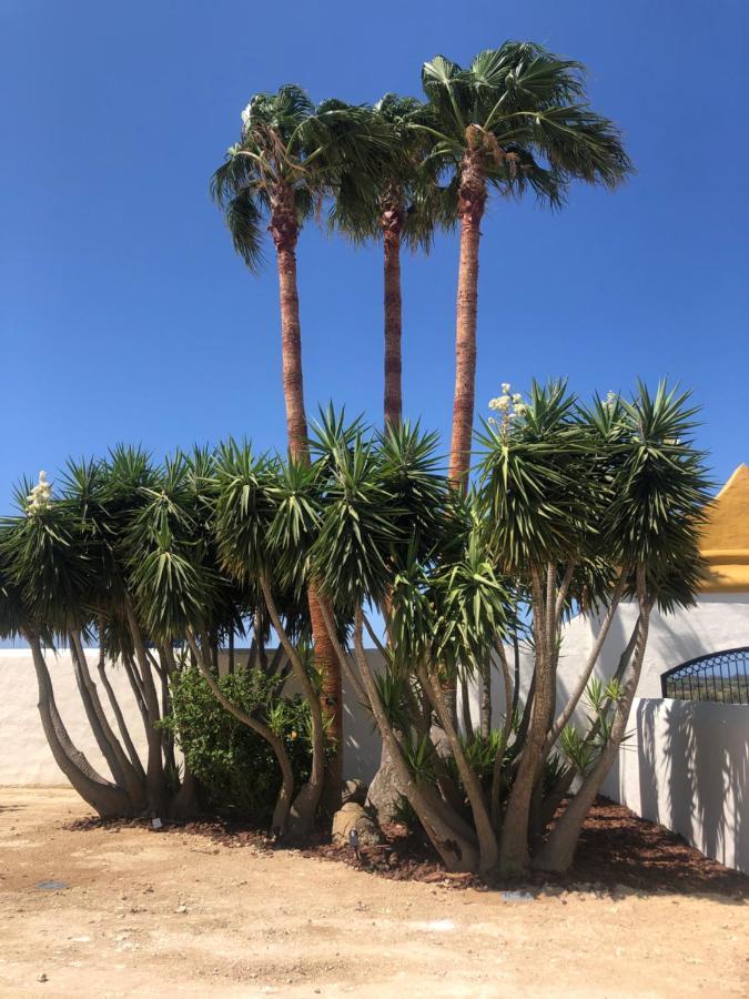 Hacienda Soto-Hego Haizea Chiclana de la Frontera Zewnętrze zdjęcie